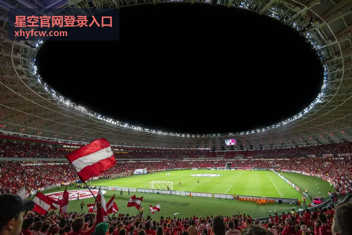 星空官网登录入口会员权益额度说明配图