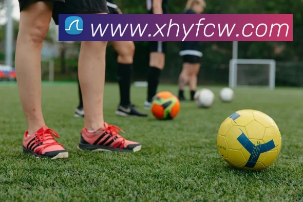 App Interface Preview